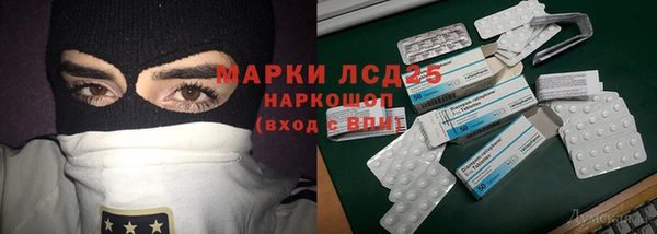 стафф Каменка