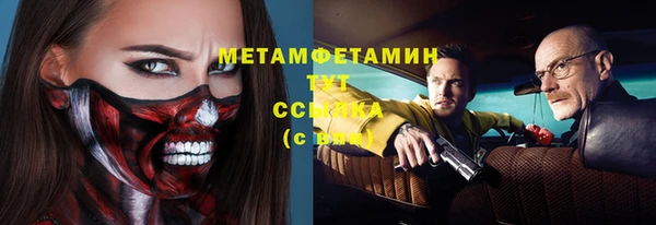 стаф Каменногорск