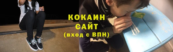 стаф Каменногорск
