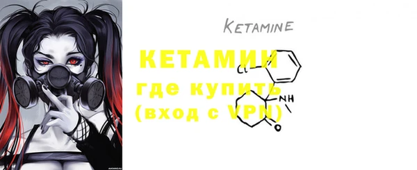 стаф Каменногорск