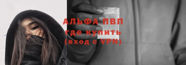 стаф Каменногорск
