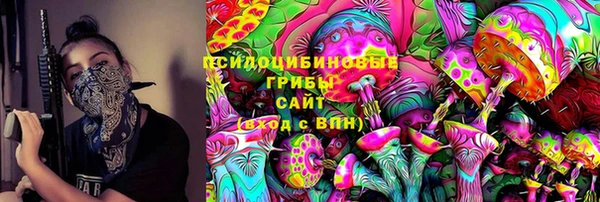 стафф Каменка