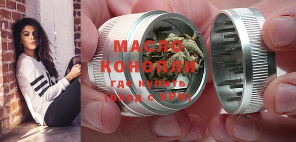 стаф Каменногорск