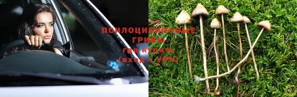 стаф Каменногорск
