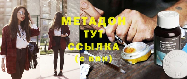 стаф Каменногорск