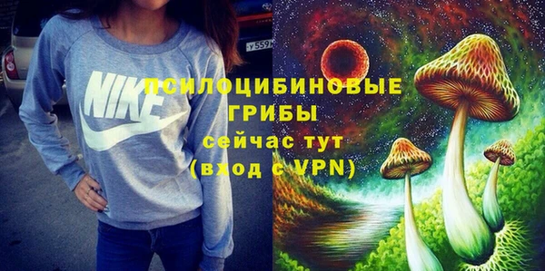 стаф Каменногорск