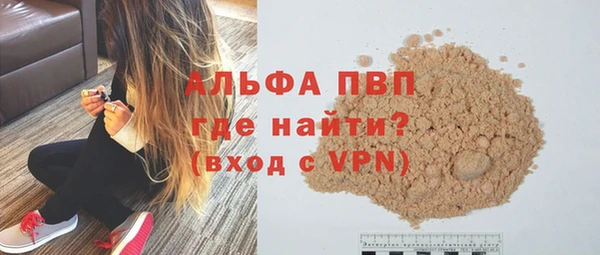 стафф Каменка