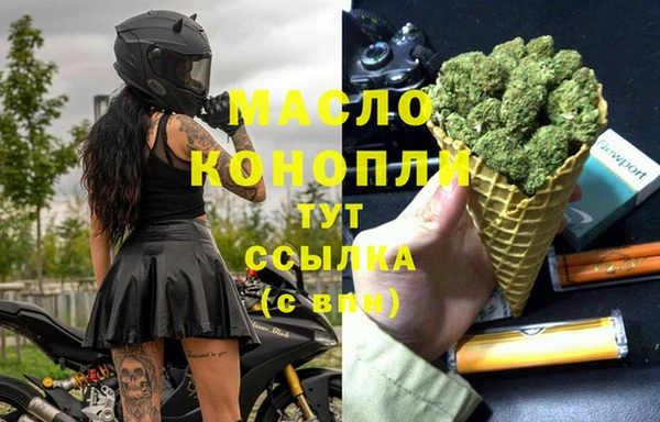 стафф Каменка
