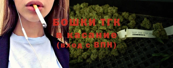 стаф Каменногорск