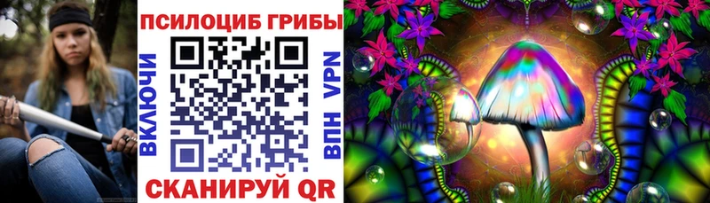 Купить закладки  Глазов  Галлюциногенные грибы Psilocybe 